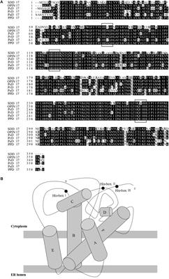 Frontiers Characterization of an Omega 3 Desaturase From